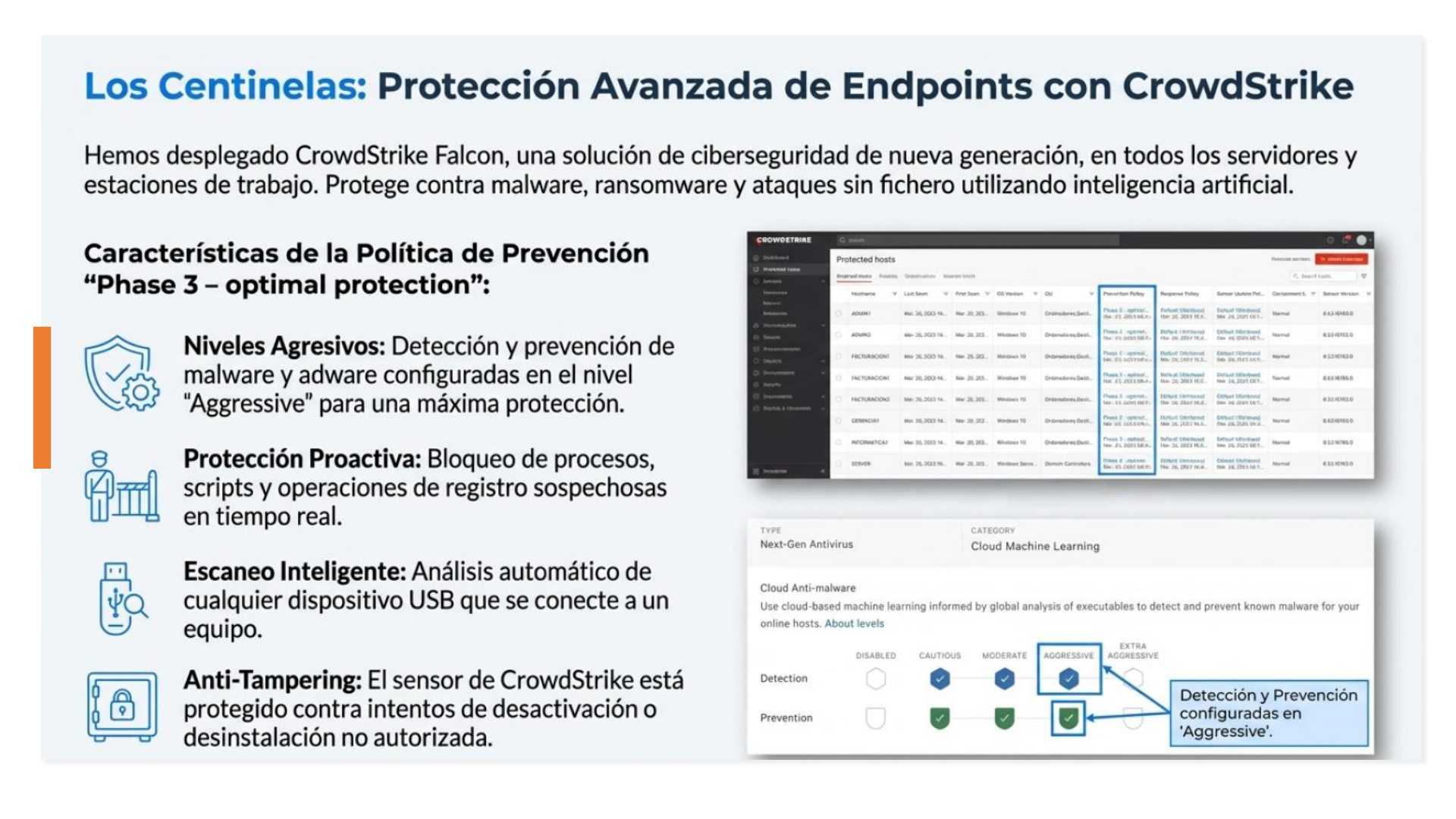 Capa 3 - Endpoints